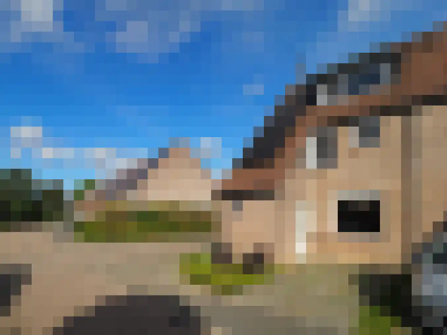 IJspolderweg 19 Papendrecht thumbnail 9