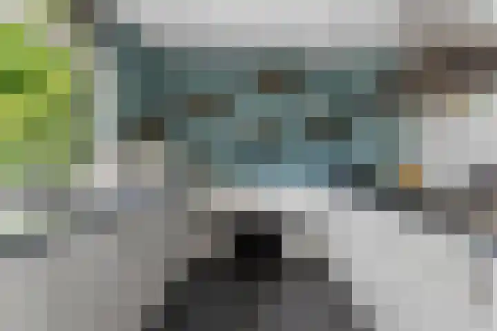 IJspolderweg 3 Papendrecht thumbnail 13