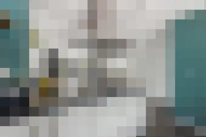IJspolderweg 3 Papendrecht thumbnail 15
