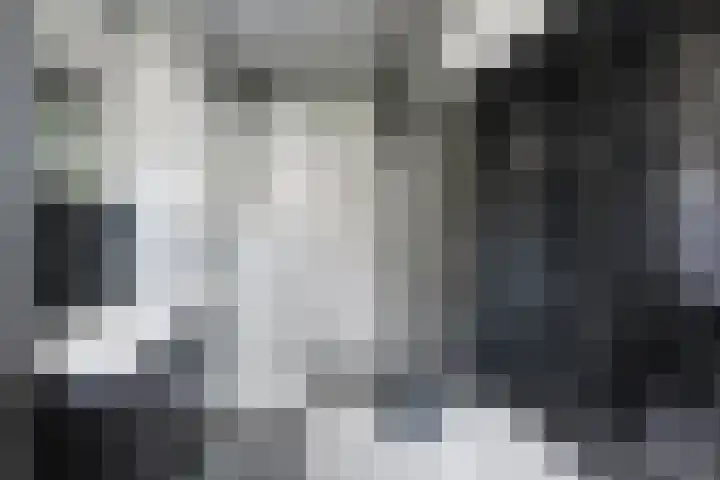IJspolderweg 3 Papendrecht thumbnail 26