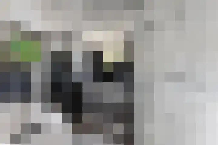 IJspolderweg 3 Papendrecht thumbnail 27