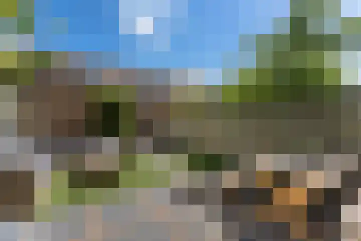 IJspolderweg 3 Papendrecht thumbnail 36