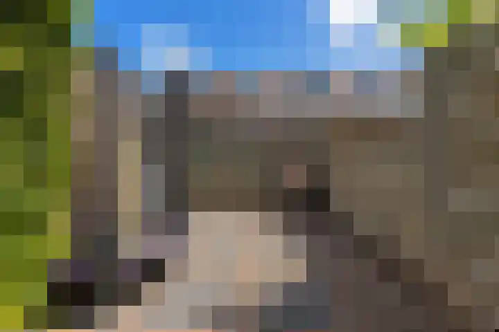 IJspolderweg 3 Papendrecht thumbnail 40