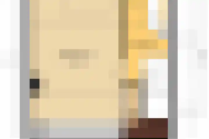 IJspolderweg 3 Papendrecht thumbnail 52