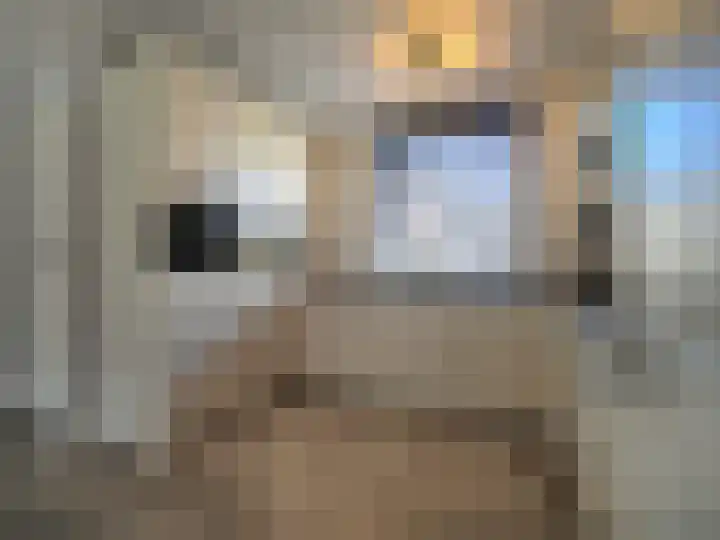 IJspolderweg 7 Papendrecht thumbnail 16