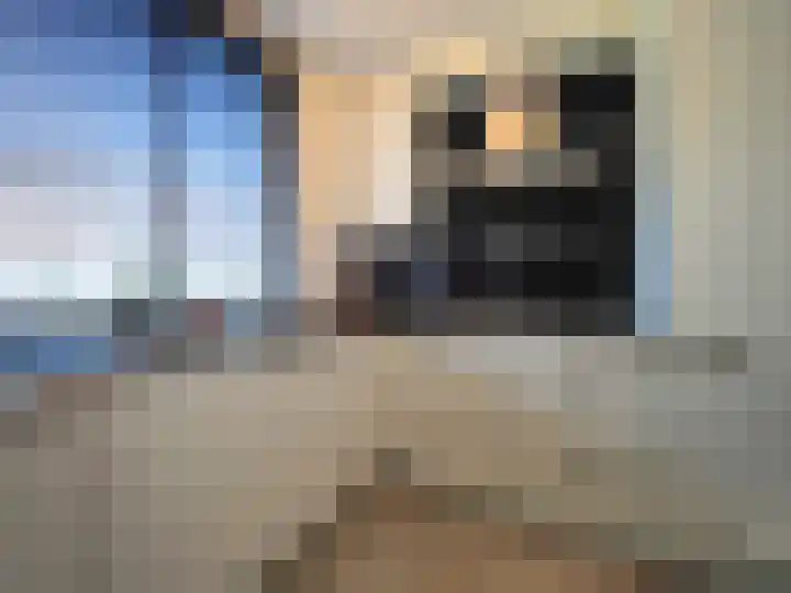 IJspolderweg 7 Papendrecht thumbnail 18