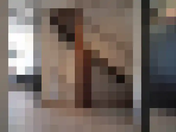 IJspolderweg 7 Papendrecht thumbnail 19