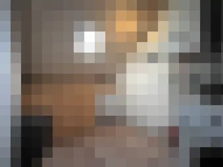 IJspolderweg 7 Papendrecht thumbnail 32