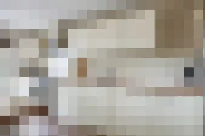 IJspolderweg 8 Papendrecht thumbnail 11