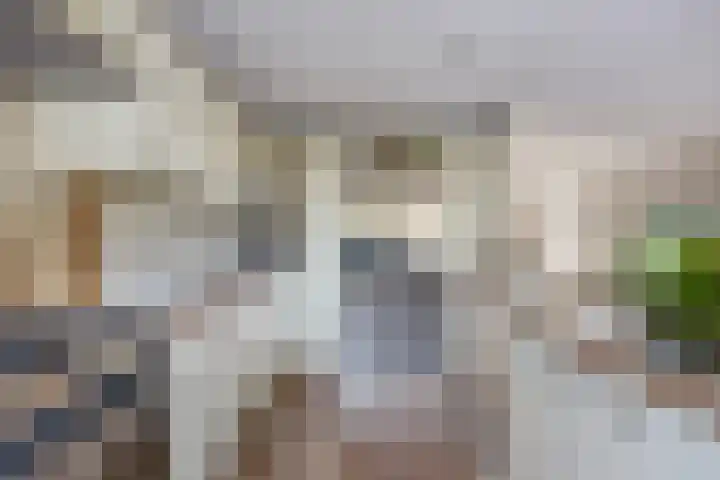 IJspolderweg 8 Papendrecht thumbnail 12