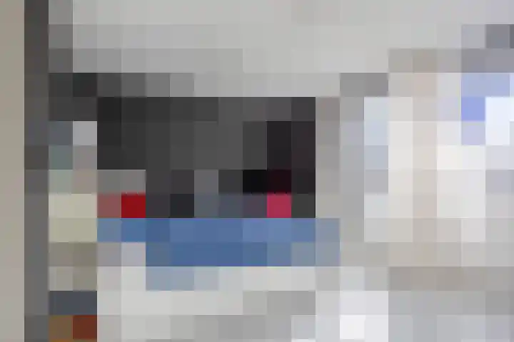 IJspolderweg 8 Papendrecht thumbnail 16