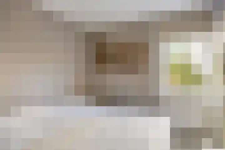 IJspolderweg 8 Papendrecht thumbnail 18