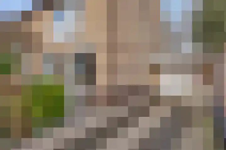 IJspolderweg 8 Papendrecht thumbnail 23