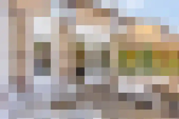 IJspolderweg 8 Papendrecht thumbnail 26