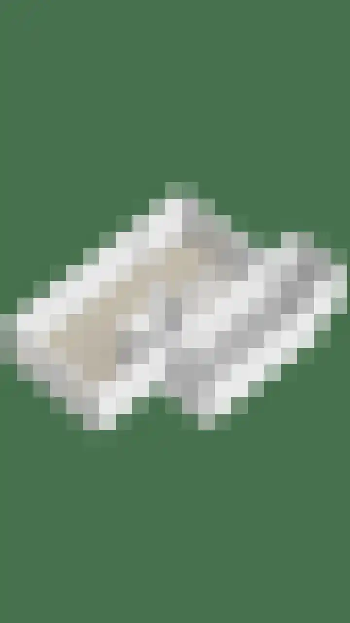 IJspolderweg 8 Papendrecht thumbnail 32