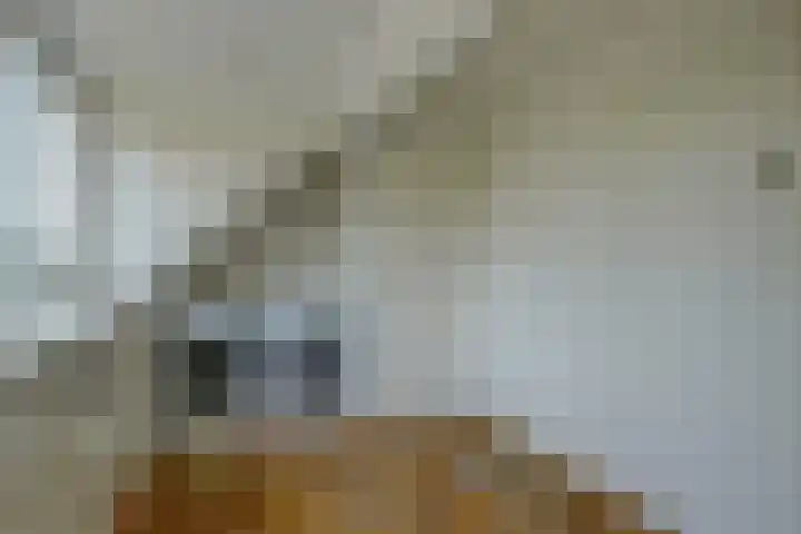 IJssel 14 Heerhugowaard thumbnail 37