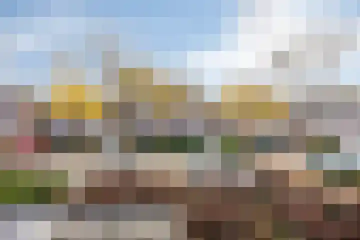 IJssel 29 Heerhugowaard thumbnail 22