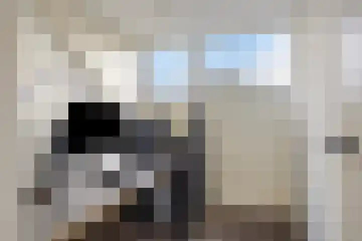 IJssel 29 Heerhugowaard thumbnail 31