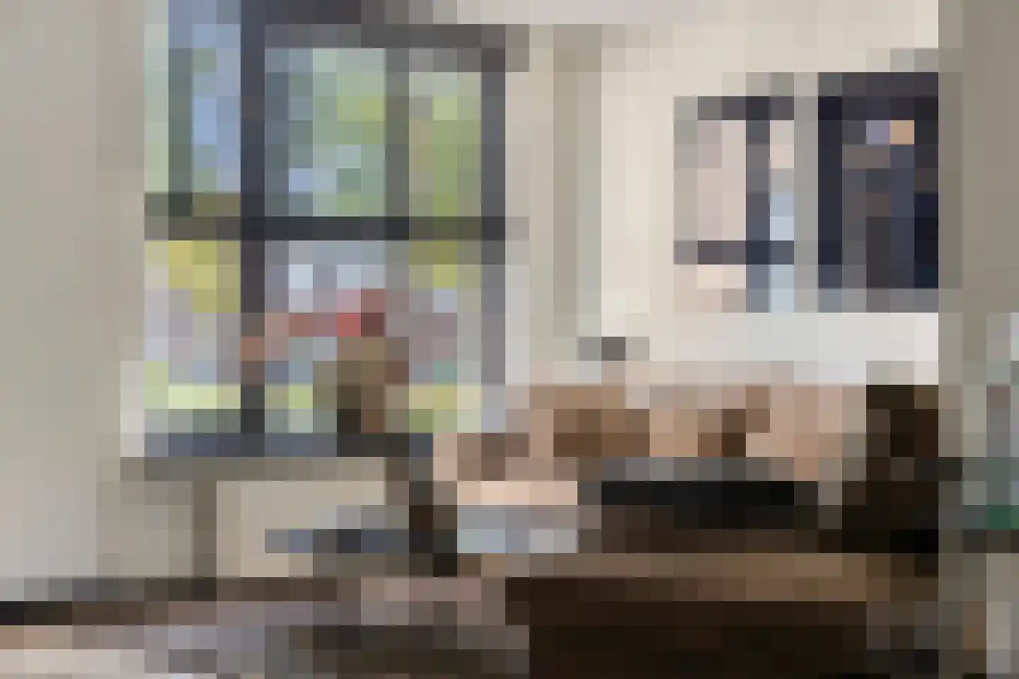 IJssel 8 Kaatsheuvel thumbnail 11