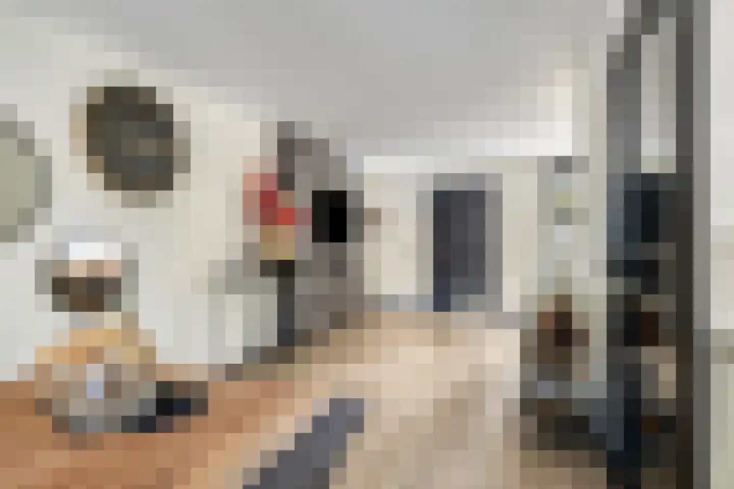IJssel 8 Kaatsheuvel thumbnail 13