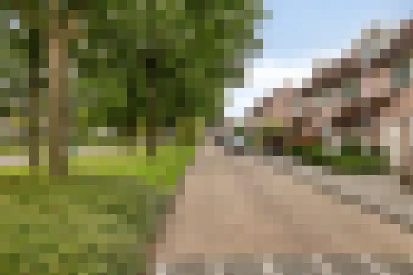 IJssel 8 Kaatsheuvel thumbnail 36