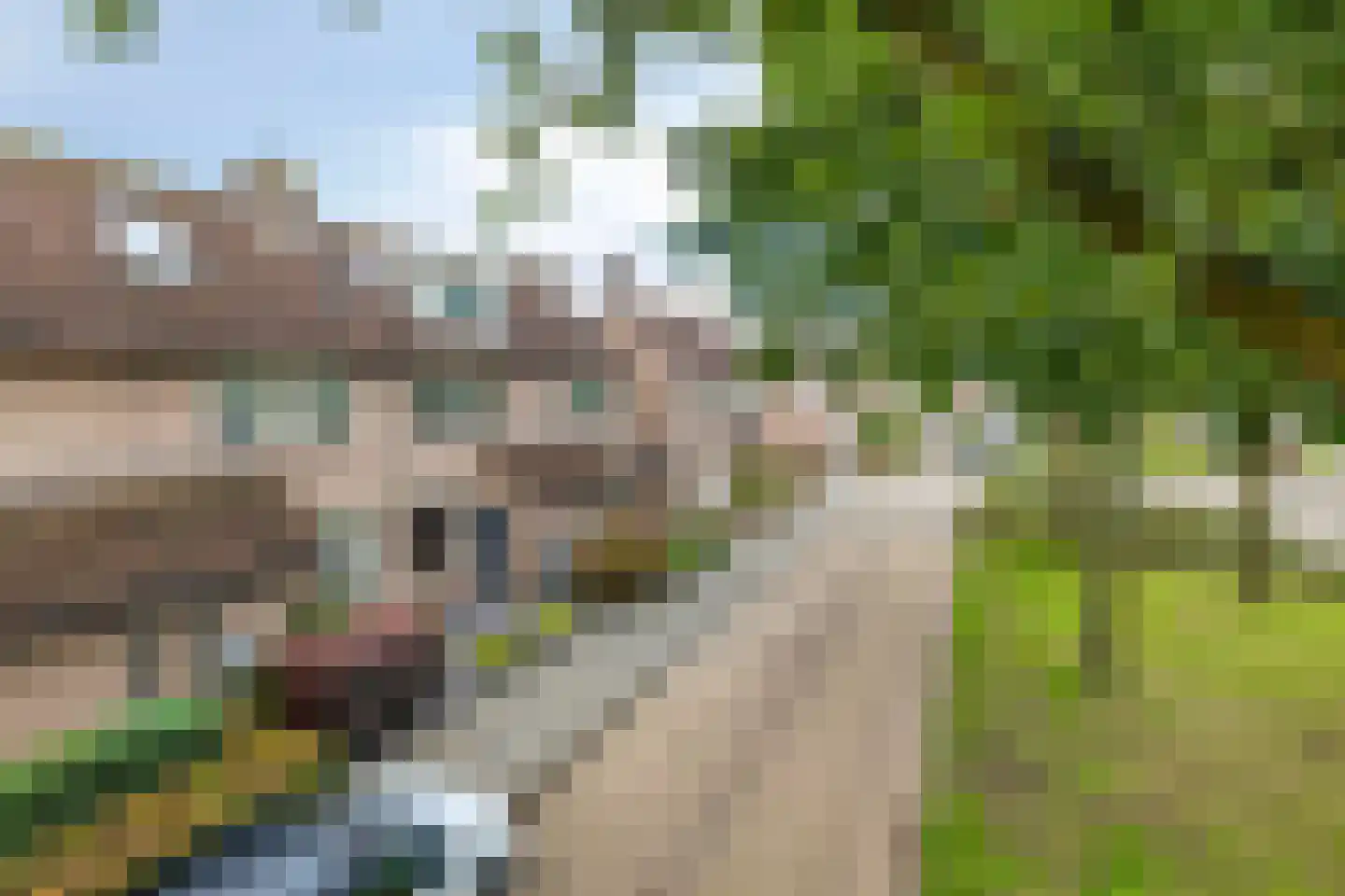 IJssel 8 Kaatsheuvel thumbnail 39