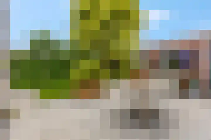 IJssel de Schepperlaan 59 Ede thumbnail 31