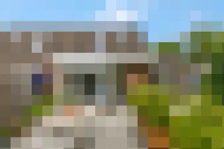 IJssel de Schepperlaan 59 Ede thumbnail 32