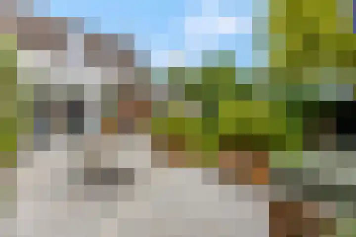 IJssel de Schepperlaan 59 Ede thumbnail 33