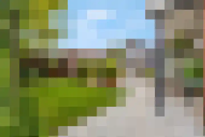 IJssel de Schepperlaan 59 Ede thumbnail 36