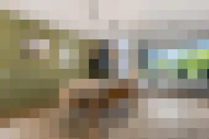 IJssel de Schepperlaan 59 Ede thumbnail 4