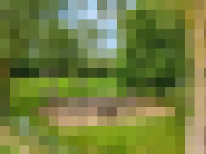 IJssel de Schepperlaan 59 Ede thumbnail 41
