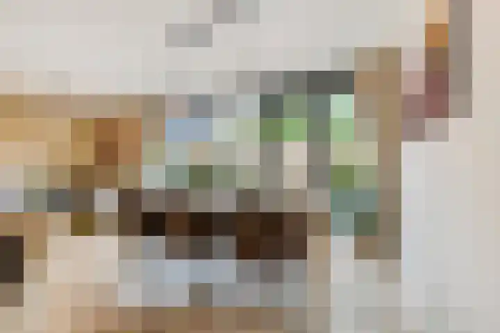 IJssel de Schepperlaan 6 A Ede thumbnail 11