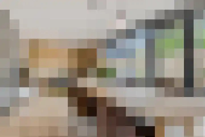 IJssel de Schepperlaan 6 A Ede thumbnail 12