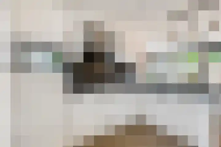 IJssel de Schepperlaan 6 A Ede thumbnail 15