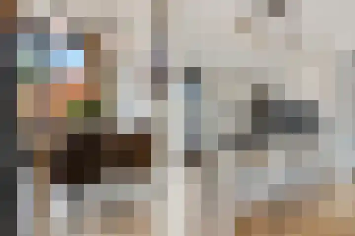 IJssel de Schepperlaan 6 A Ede thumbnail 19