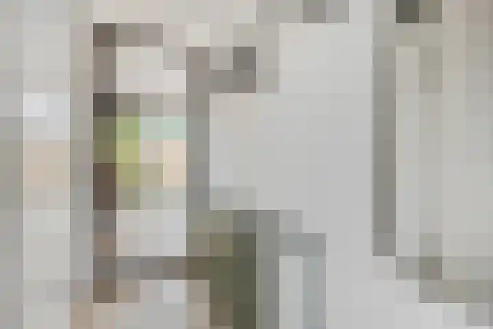 IJssel de Schepperlaan 6 A Ede thumbnail 5