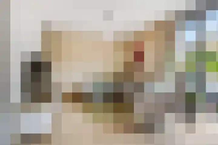 IJssel de Schepperlaan 6 A Ede thumbnail 6