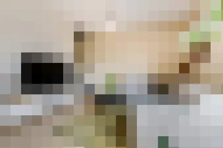 IJssel de Schepperlaan 6 A Ede thumbnail 8