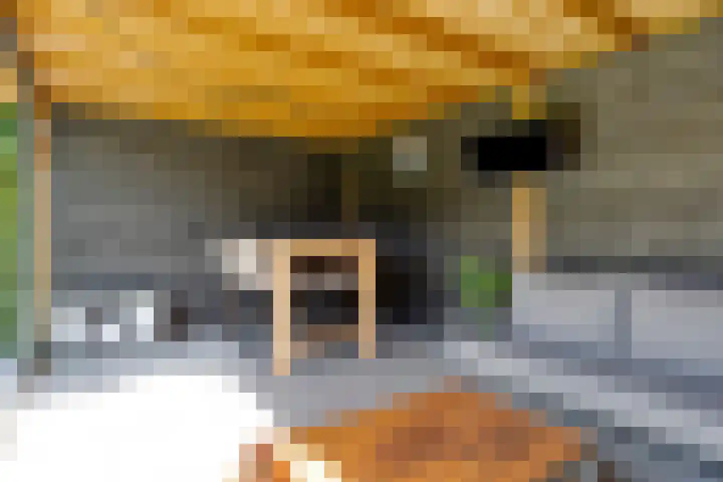 IJssel de Schepperstraat 15 Okkenbroek thumbnail 32