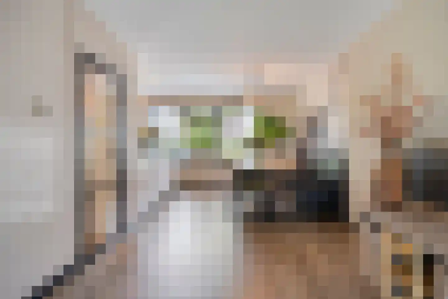 IJssel de Schepperstraat 15 Okkenbroek thumbnail 6