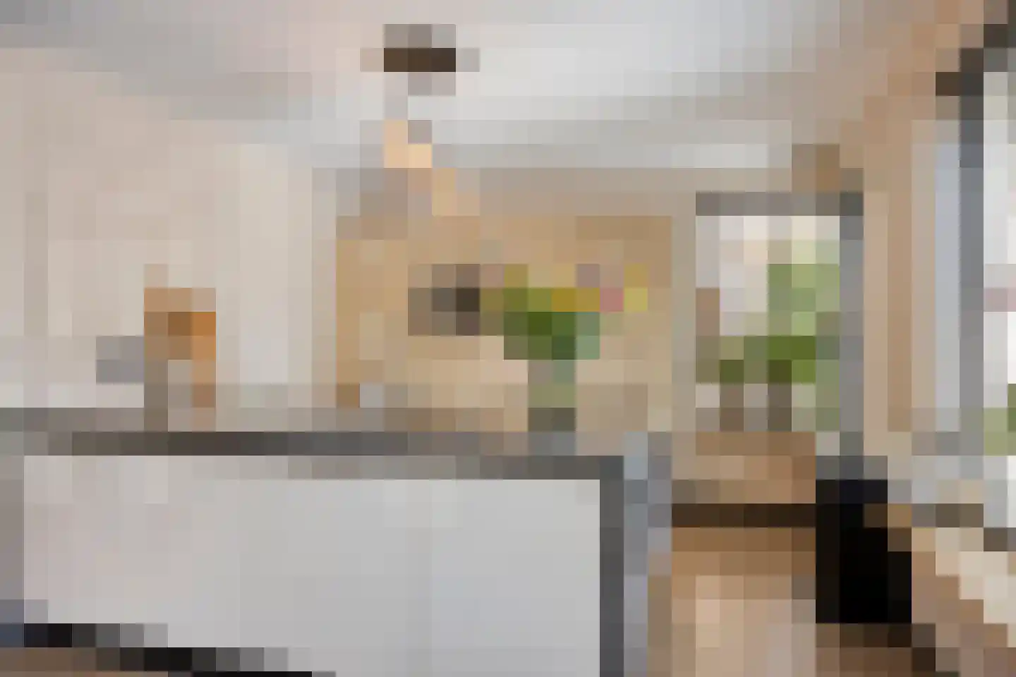 IJssel de Schepperstraat 15 Okkenbroek thumbnail 7