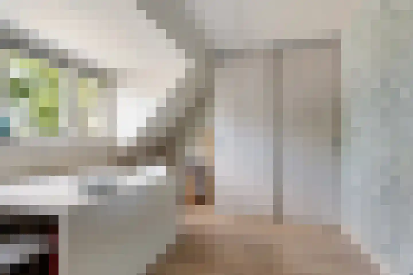 IJssel de Schepperstraat 6 Okkenbroek thumbnail 20