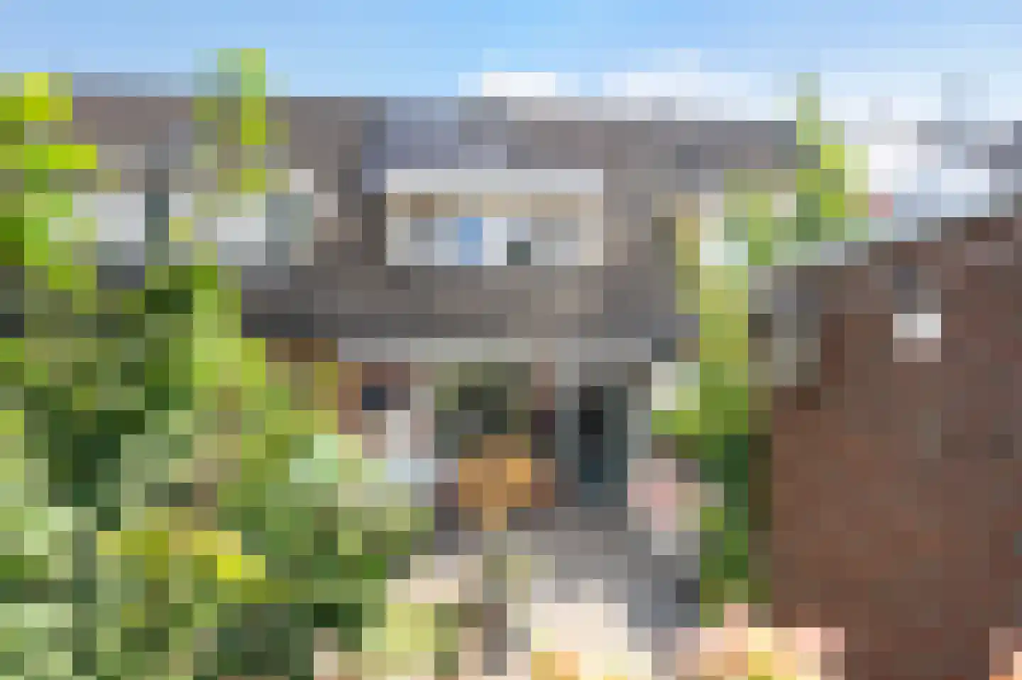 IJssel de Schepperstraat 6 Okkenbroek thumbnail 25