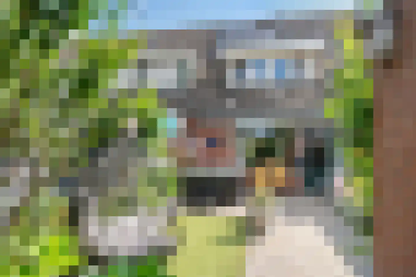 IJssel de Schepperstraat 6 Okkenbroek thumbnail 26