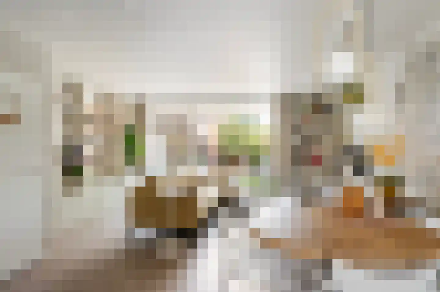 IJssel de Schepperstraat 6 Okkenbroek thumbnail 4