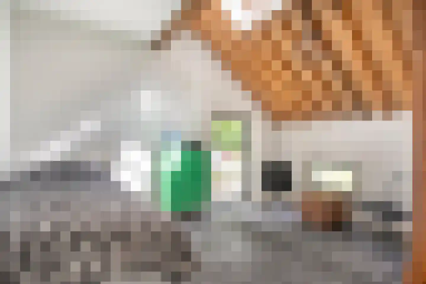 IJsseldijk 134 Krimpen aan den IJssel thumbnail 28