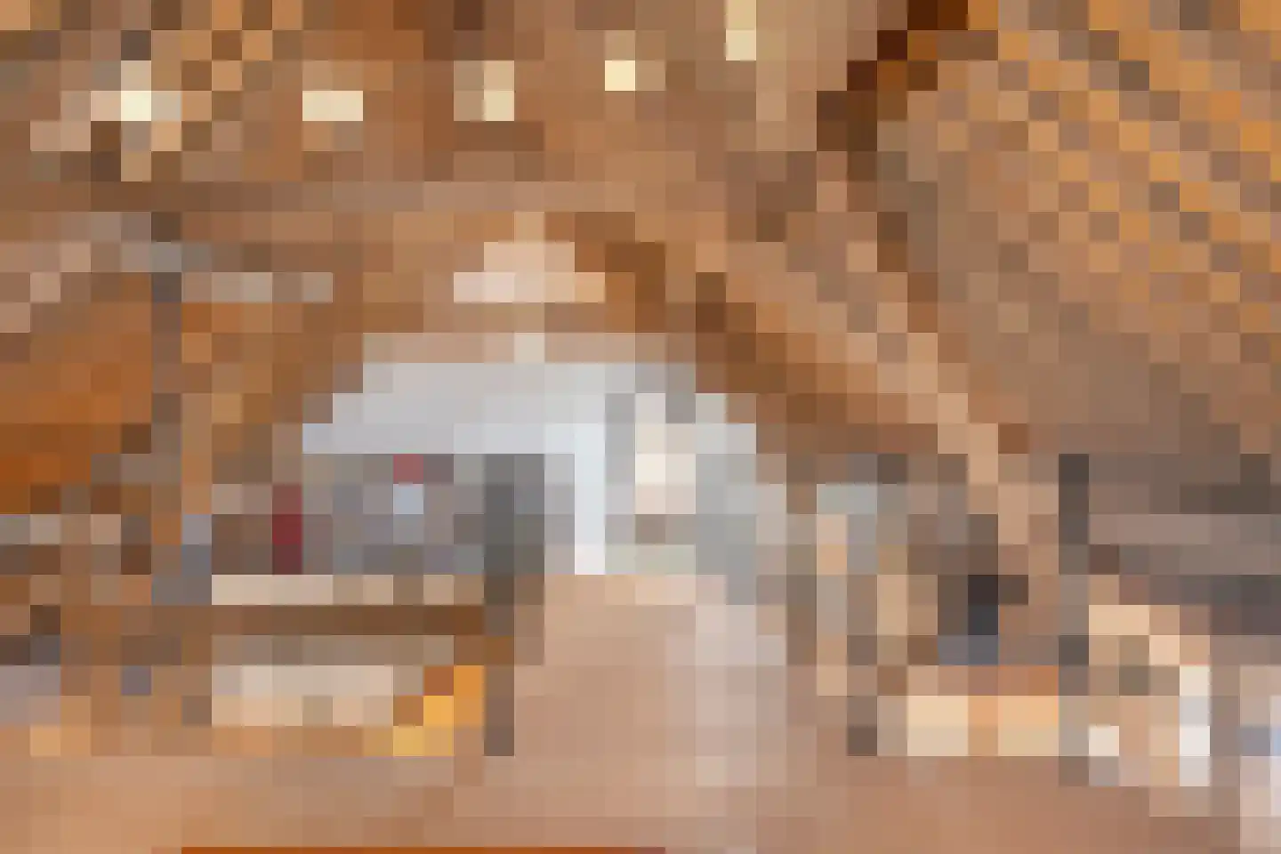 IJsseldijk 134 Krimpen aan den IJssel thumbnail 35