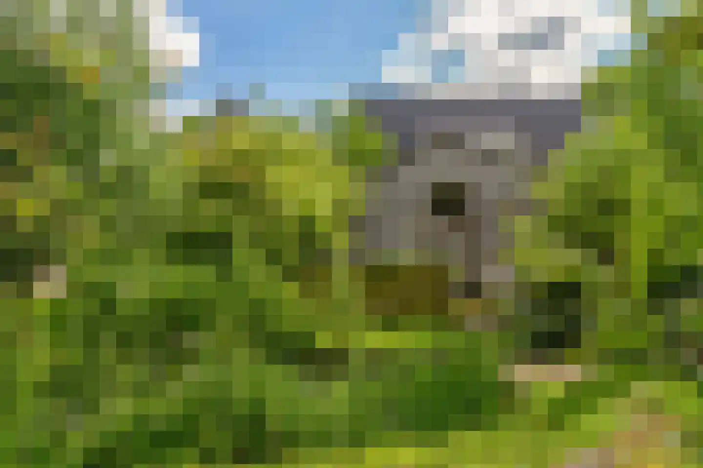 IJsseldijk 134 Krimpen aan den IJssel thumbnail 64