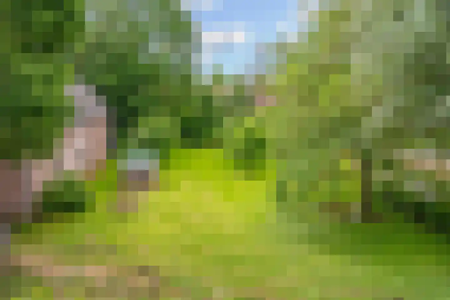 IJsseldijk 134 Krimpen aan den IJssel thumbnail 81